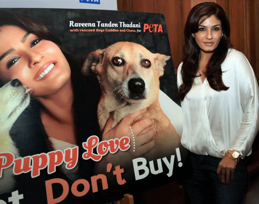 Mumbai: Bollywood actress Raveena Tandon launches new PETA campaign to  adopt homeless animals in Mumbai on Thursday. PTI Photo by Shashank  Parade(