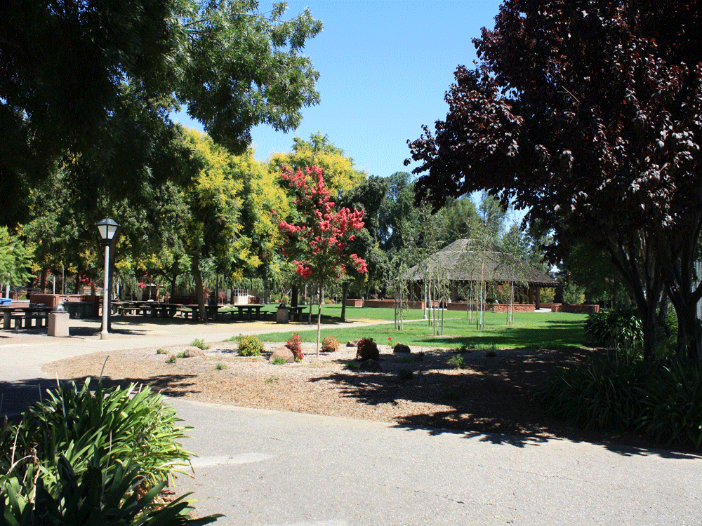 A view of Ortega Park, Sunnyvale, San Francisco, US. This diverse, Victorian-themed 18-acre park is a meeting point of Indians in USA.