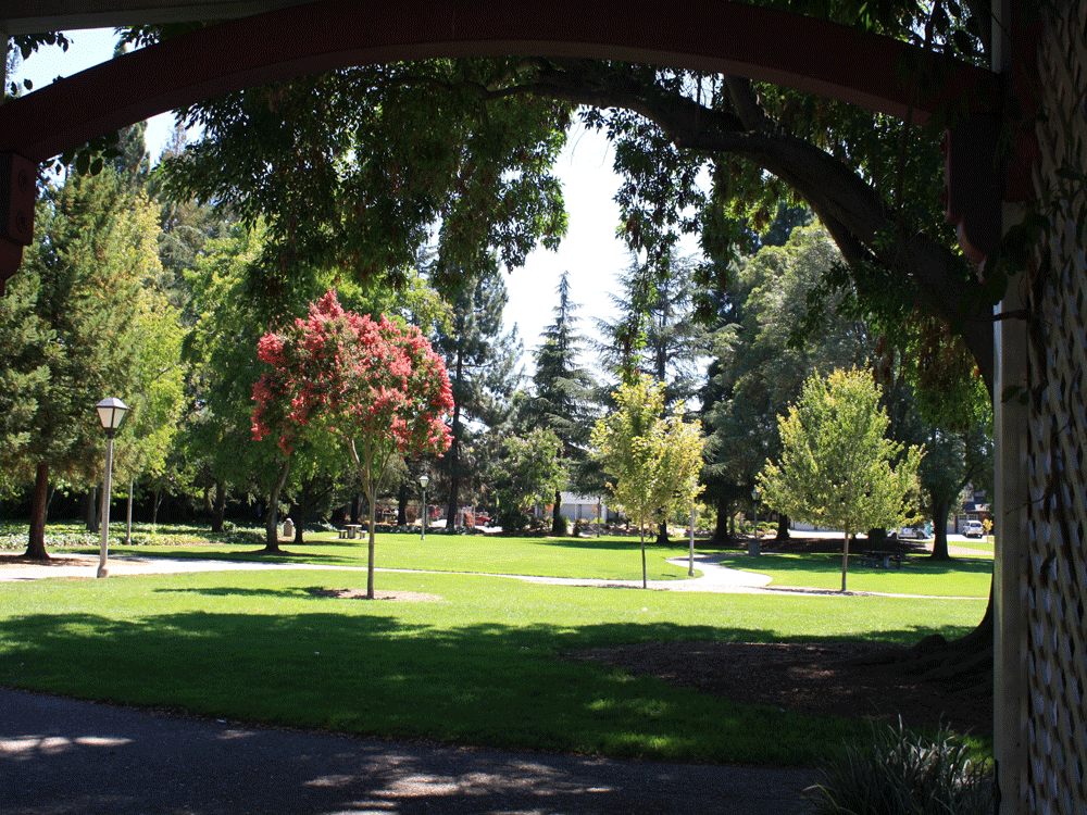 A view of Ortega Park, Sunnyvale, San Francisco, US. This diverse, Victorian-themed 18-acre park is a meeting point of Indians in USA.