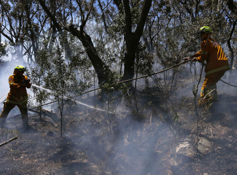 Rural Fire Service (RFS) firefighters try to extinguish a small fire  approaching homes near the Blue Mountains suburb of Blackheath, located  around 70 kilometres (44 miles) west of Sydney October 23, 2013.  Thousands of Australians were told to eva...