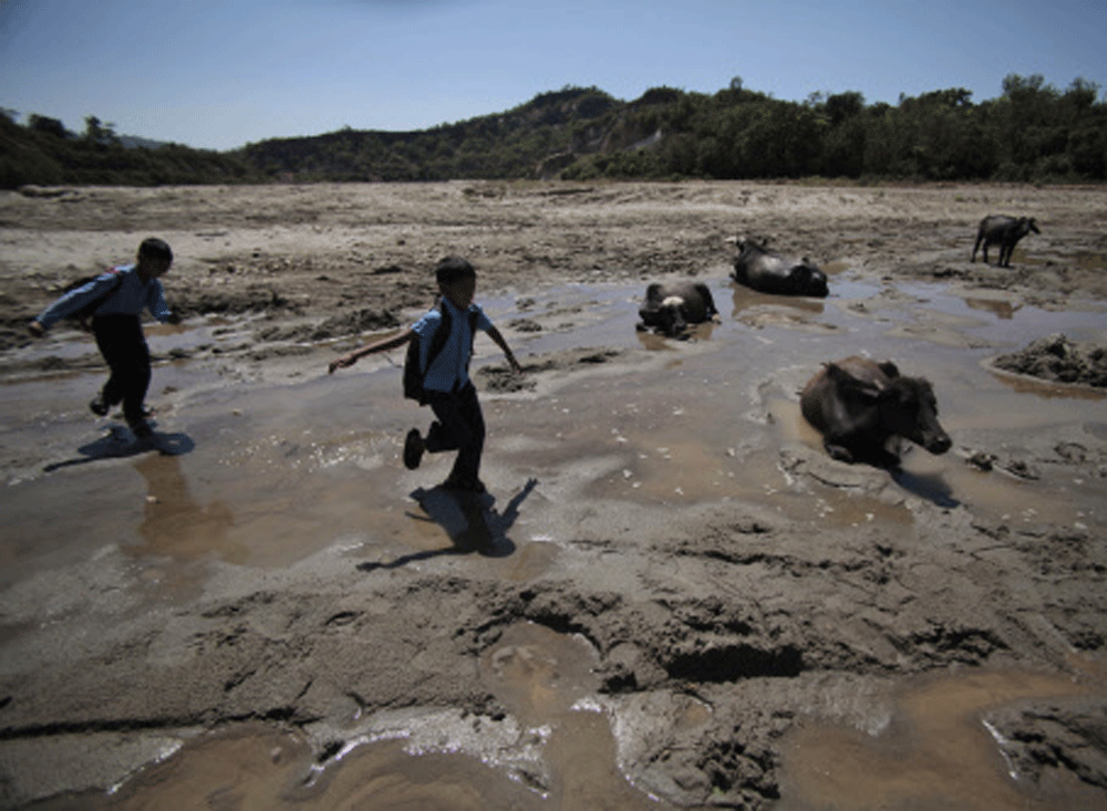 Children returning from school run past buffaloes trying to cool off on the dried bed of the River Tawi on a hot summer day in Jammu, Monday, June 2, 2014. AP Photo
