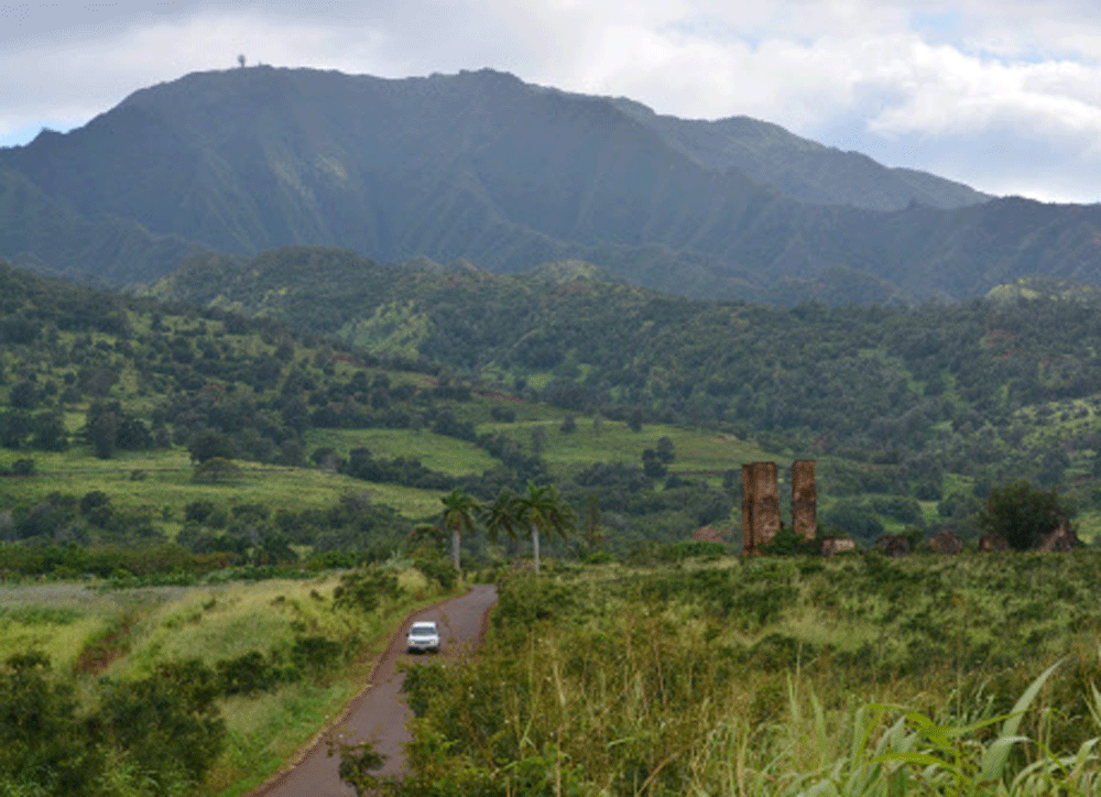 A road leading up to the off-the-grid 'glamping' accommodations in the town of Waialua, Hawaii, AP photo  