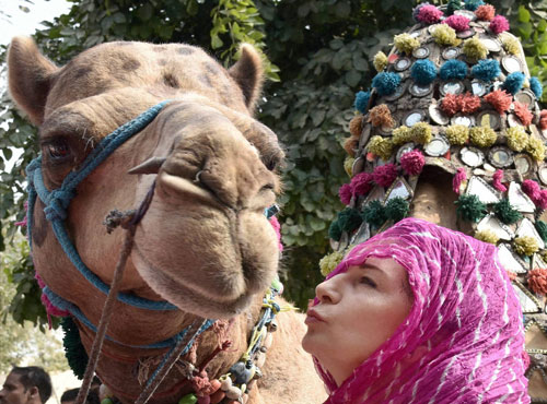  A tourist poses with a camel in Bikaner on Wednesday. PTI Photo