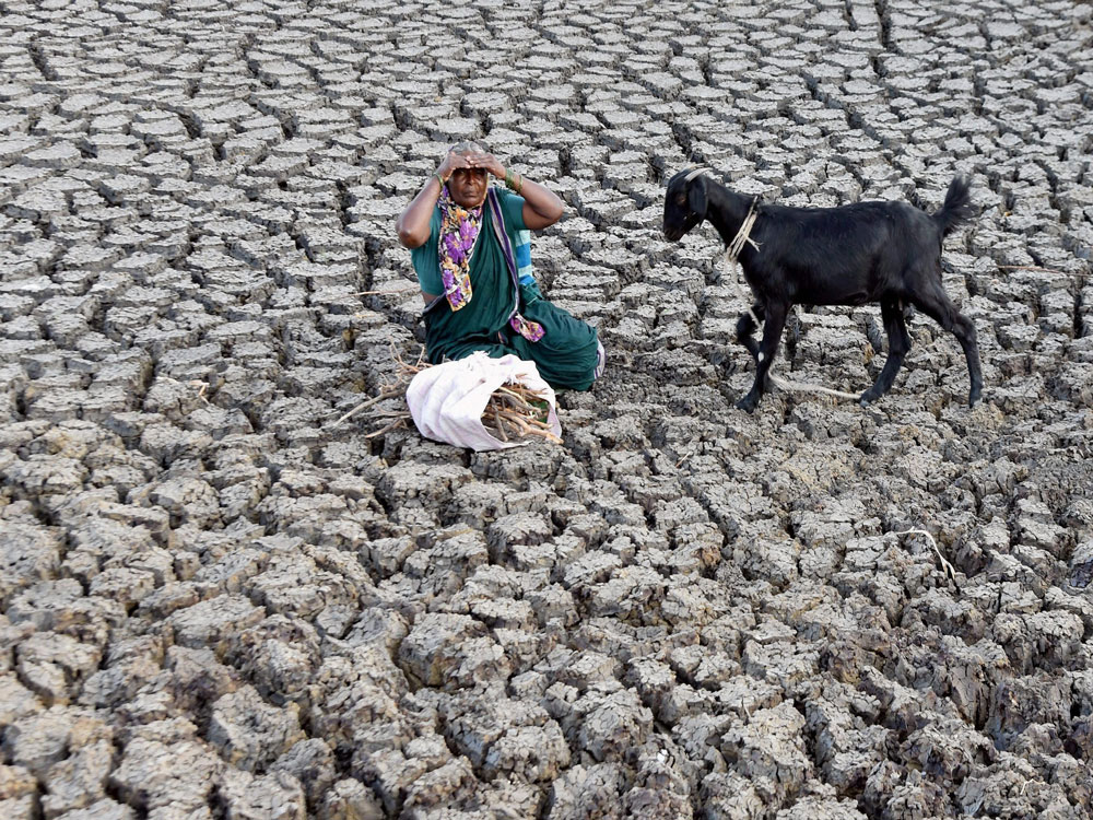 An elderly woman with her goat at the parched bed of a pond in a village in Hubli district of Karnataka on Thursday. PTI Photo