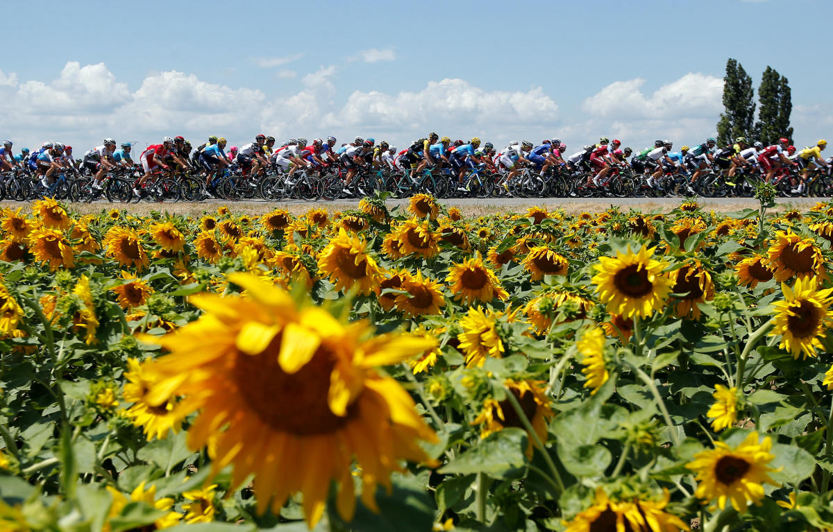 The peloton in action during stage 14 of the Tour de France. (Reuters Photo)