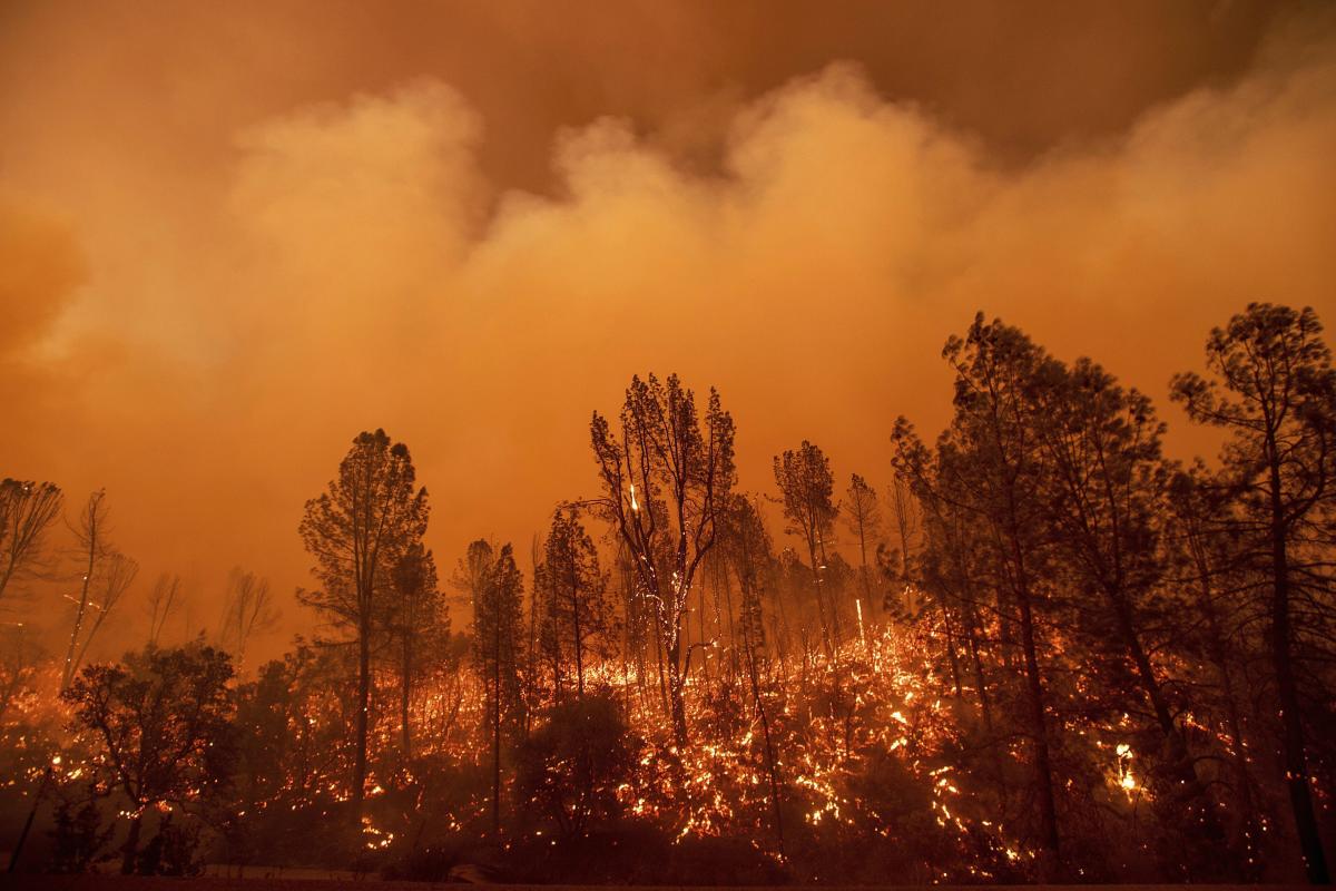Redding : The Carr Fire burns along Highway 299 in Redding, Calif., on Thursday, July 26, 2018. AP/PTI
