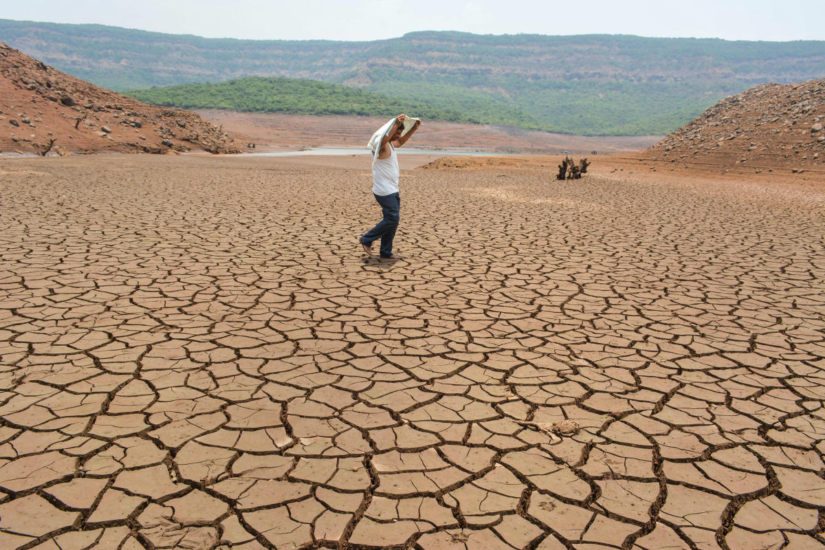 A man walks on the dried-up bed of Shivsagar Lake (Koyna backwaters) on a hot summer day, in Satara, Maharashtra, Friday, June 7, 2019. (PTI Photo)