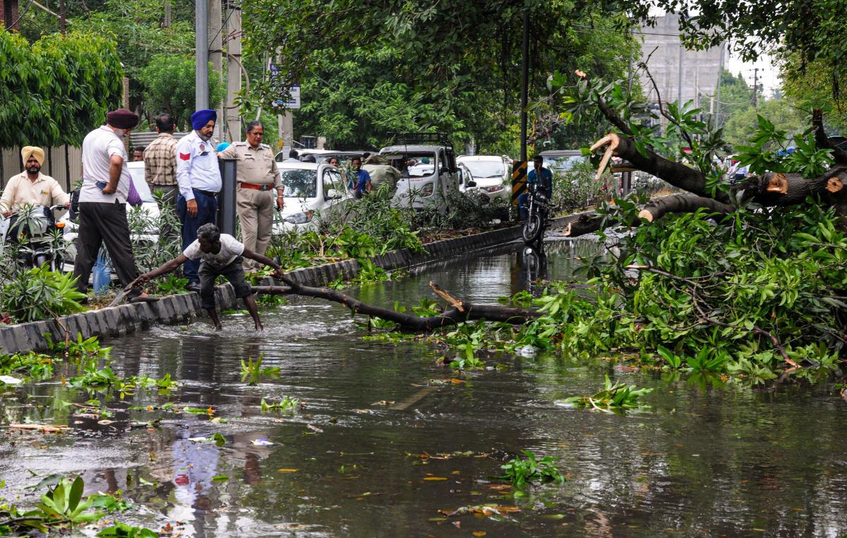 Workers cut branches of an uprooted tree that fell on the road after a storm, in Amritsar, Thursday, June 20, 2019. PTI