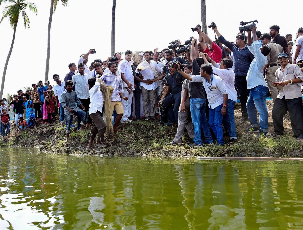 YSR Congress President Y S Jaganmohan Reddy during his 'Praja Sankalpa Yatra' at Peda Kaapavaram in Andhra Pradesh, on Friday. PTI Photo