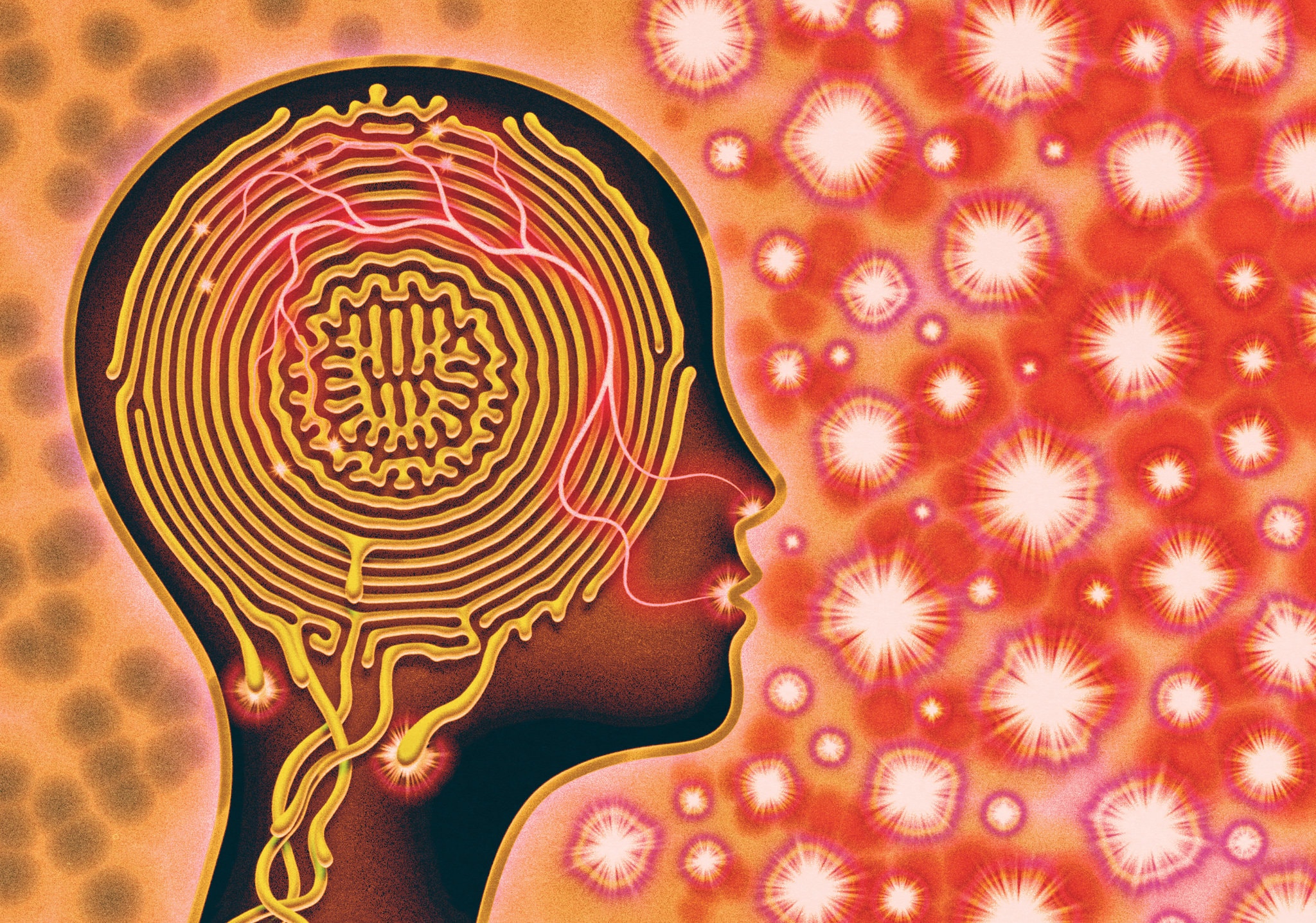 3. Besides the respiratory system and lungs, the coronavirus can attack many other organs, including the heart, liver, kidneys, and brain. Credit: DH File Photo