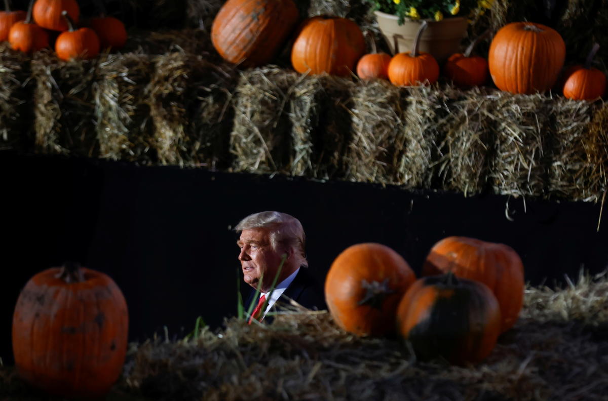 US President Donald Trump is seen between pumpkins during a campaign rally at Pittsburgh-Butler Regional Airport in Butler, Pennsylvania. Credit: AFP Photo