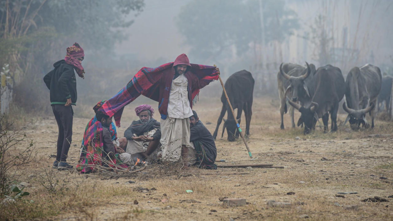 A group of nomadic shepherds from Rajasthan state sit near a bonfire to warm themselves on a cold winter morning, on the outskirts of New Delhi. Credit: PTI