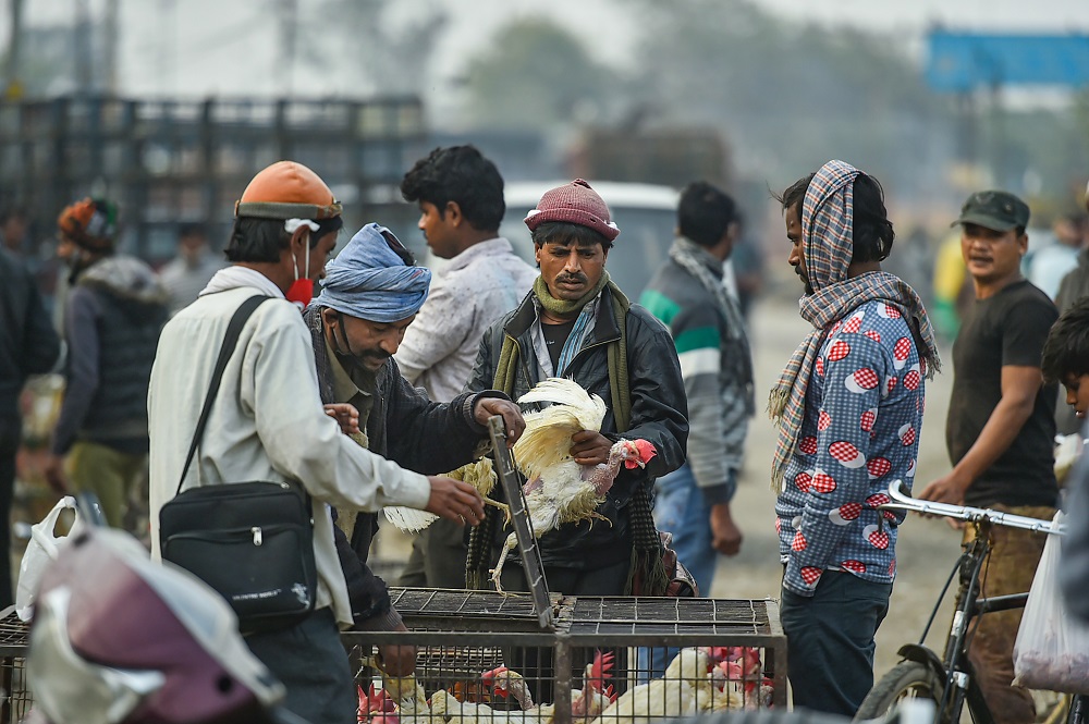 Gujarat | More than 50 hens and crows were found dead in parts of the state. The Chief Minister Vijay Rupani has said his government is fully prepared to deal with the bird-flu situation. Two departments are working to ensure there is no spread of the flu, the CM said. Credit: PTI Photo