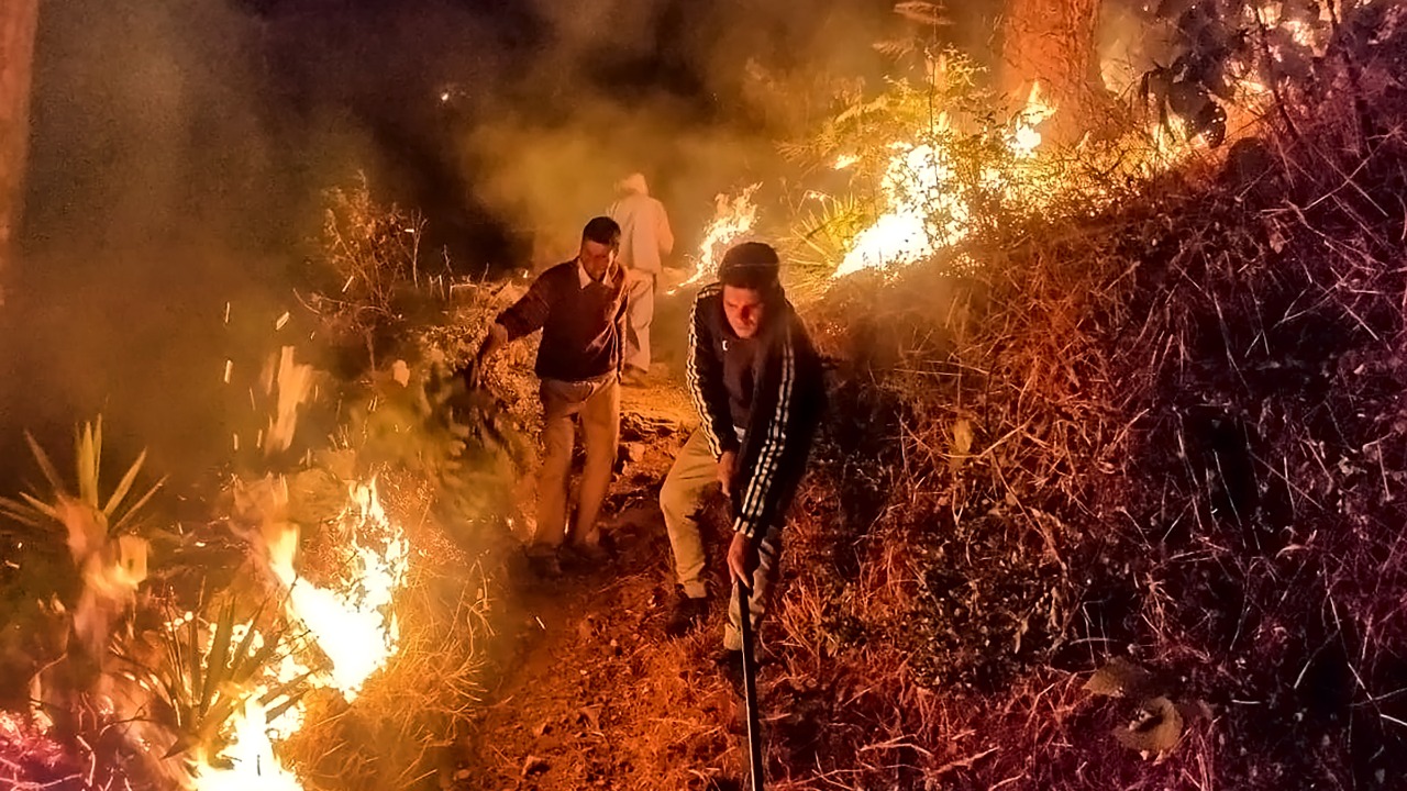 Forest workers engaged in extinguishing the fire in the forests of Tehri district, Uttarakhand. Credit: PTI Photo