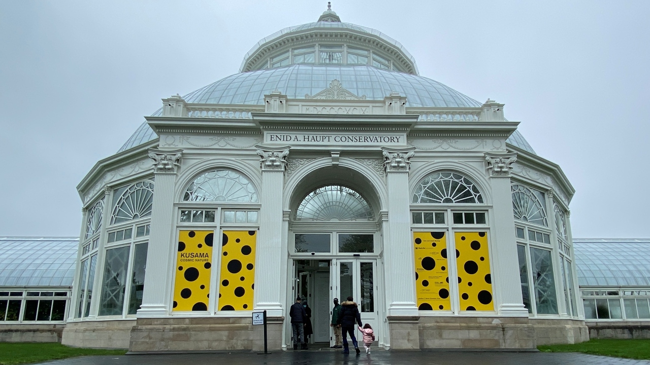 Pumpkins, peas, peonies: New York celebrates Kusama's cosmic nature exhibition