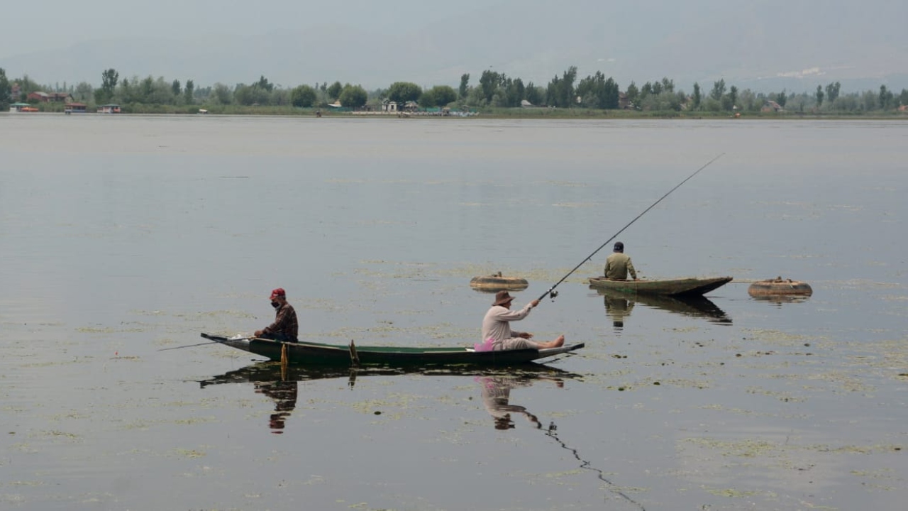 Locals are seen fishing in Dal Lake, Srinagar.