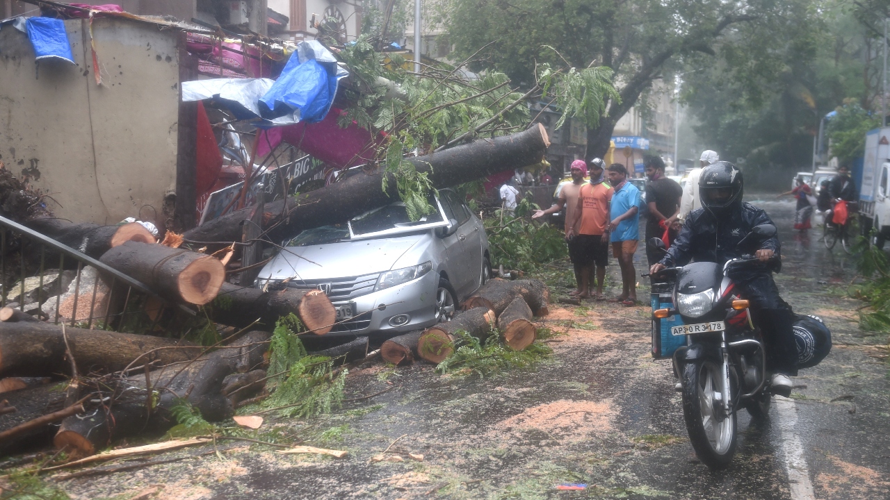 Trees fell on parked cars due to strong winds triggered by cyclone Tauktae, in Mumbai.Credit: PTI