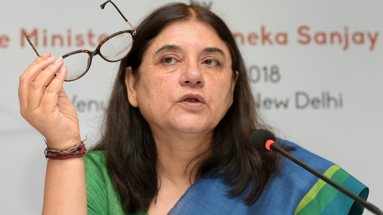 Maneka Gandhi: An animal rights activist, environmentalist and author, Maneka Gandhi held key position in Modi’s Cabinet in 2014-2019. Credit: PTI Photo