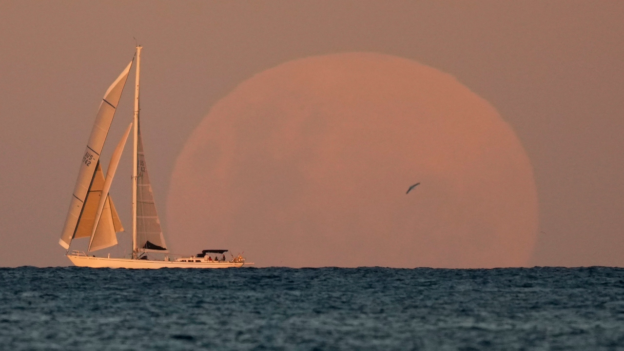 A yacht sails past as the moon rises in Sydney. Credit: AP Photo