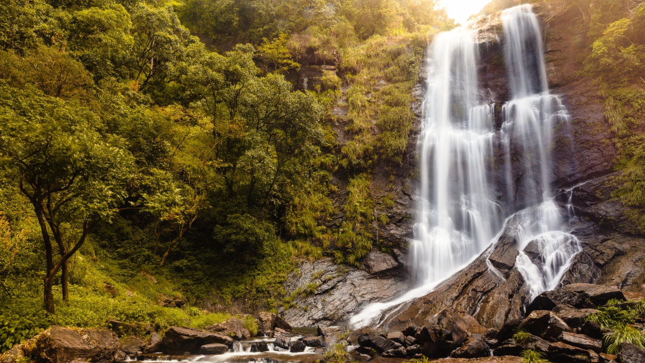 Hebbe Falls: Deep inside a coffee estate Hebbe is a popular destination for those seeking respite from the city’s heat and chaos.