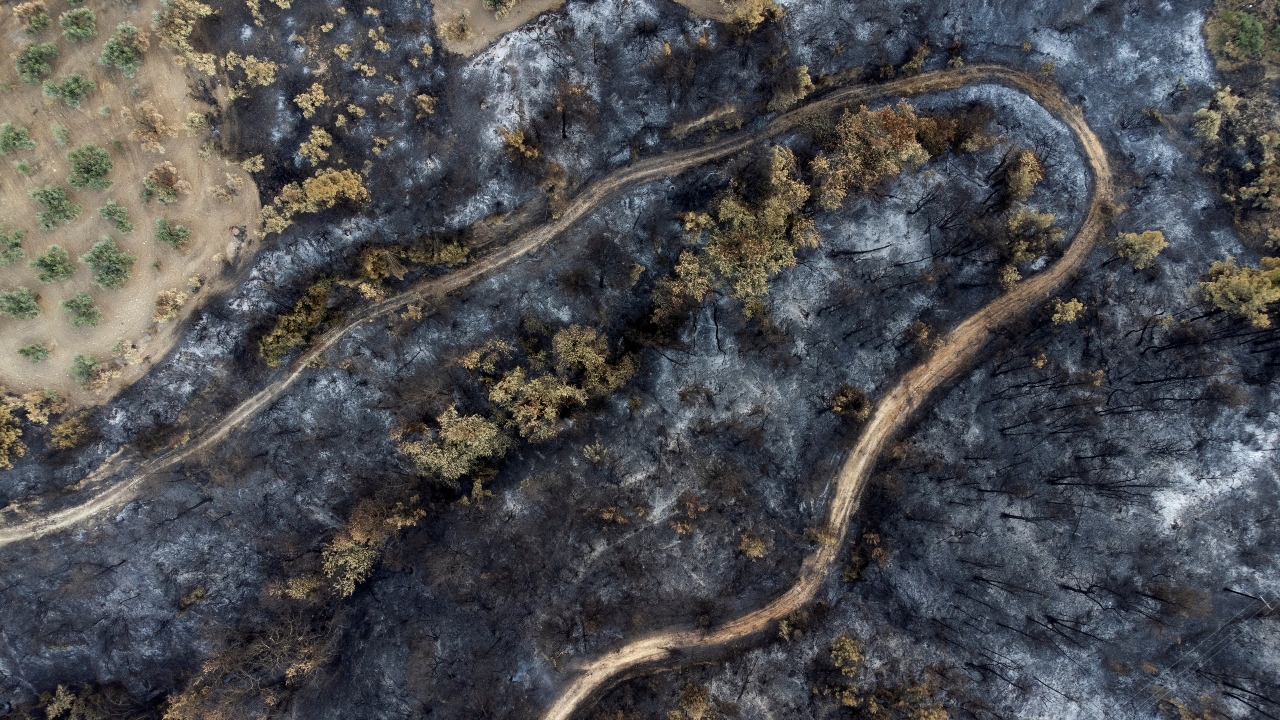 Volunteers and firefighters are work inground-the-clock, often without masks or helmets, in a desperate bid to stop a violent blaze from reaching a key town on Greece's Evia island, one of hundreds of fires that have raged through the country. Credit: Reuters Photo