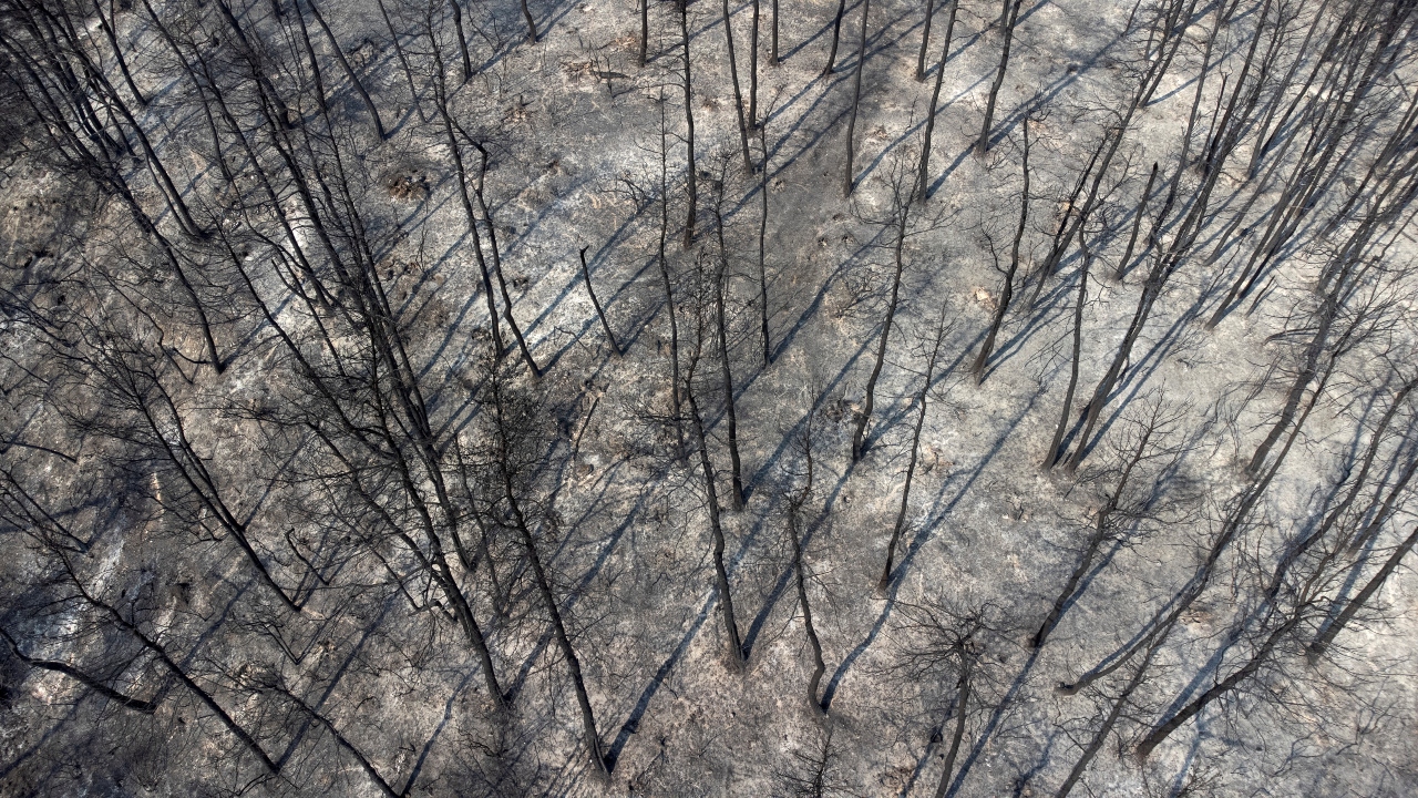 Rain and falling temperatures helped the fire-dousing effort, but crews remain on alert for possible flare-ups in hard-to-access ravines on the island of Evia and in the region of Arcadia in the Peloponnese, the spokesman said. Credit: Reuters Photo