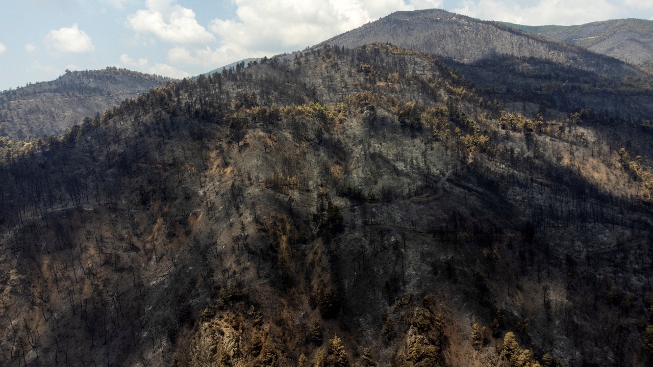 Hundreds of homes and many businesses have been destroyed in Evia, Arcadia and the outskirts of Athens in the prolonged fire wave that struck Greece from late July and intensified last week, during the worst heatwave in decades. Credit: Reuters Photo
