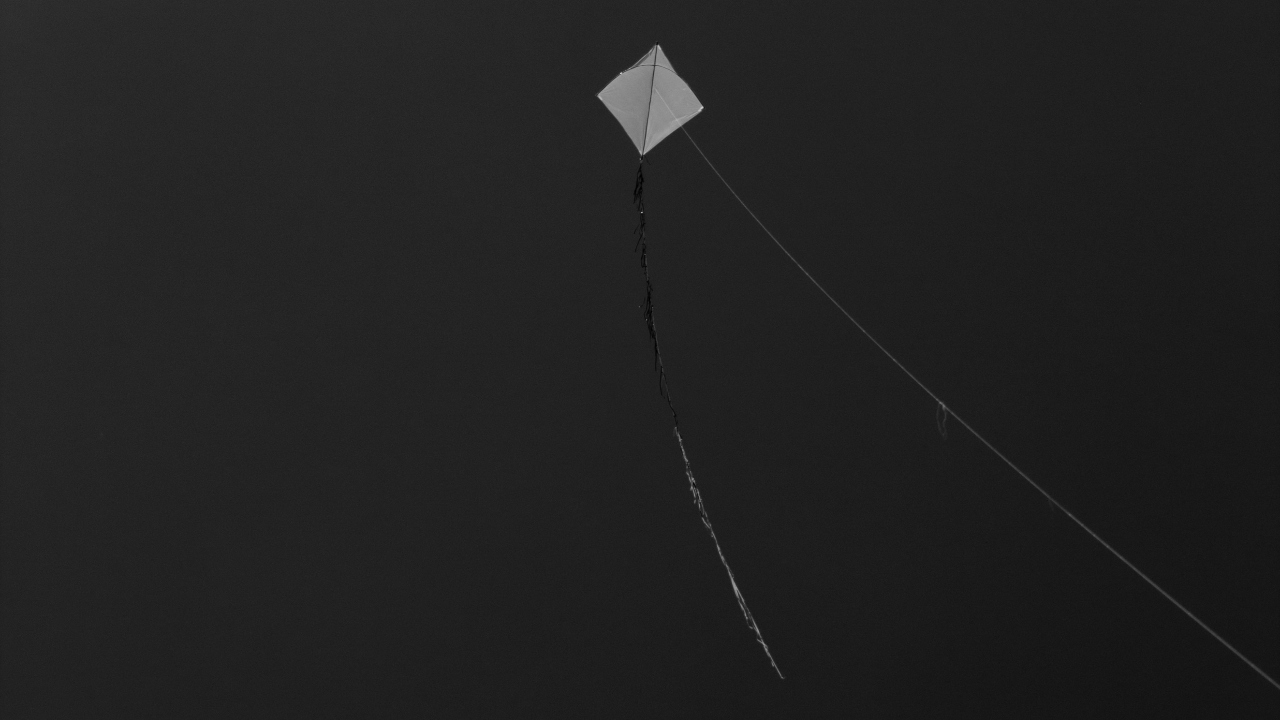 Kids in Afghanistan were not allowed to keep pigeons as pet and also were prohibited from flying kites. Credit: Unsplash/Allec Gomes