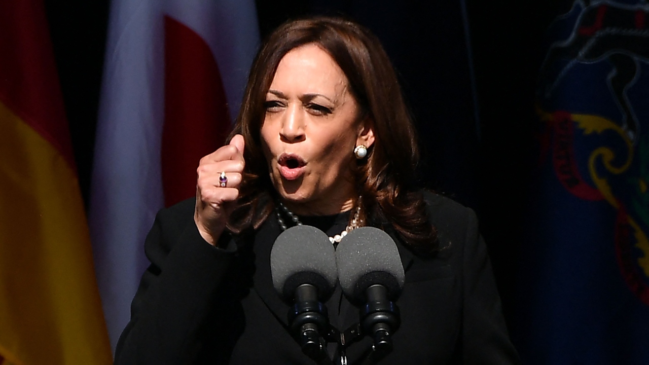 Vice President of the United States, Kamala Harris. Credit: AFP Photo