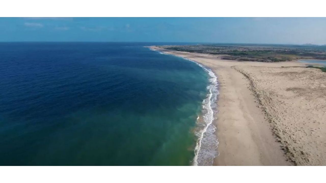 Gujarat's Shivrajpur beach is known for its clear water and white sand. Credit: Twitter/@PBNS_India