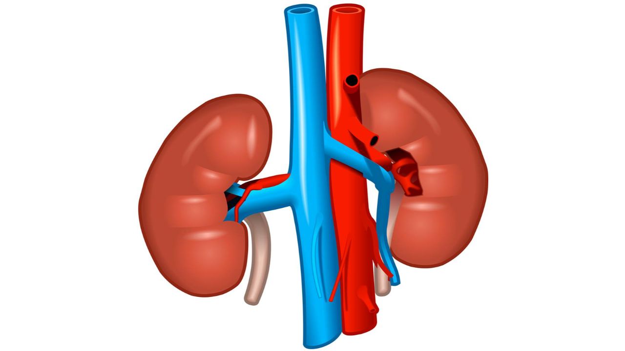 Air pollution also a major contributor to kidney complications. Credit: DH Pool Photo
