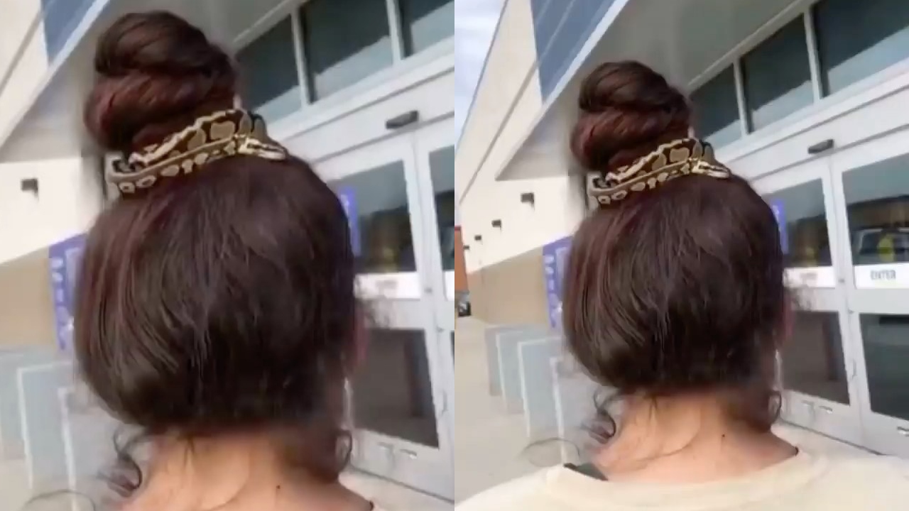 A video went viral on social media where a woman was seen using a snake as a hairband while stepping out for shopping at a mall. Credit: Instagram/snake._.world