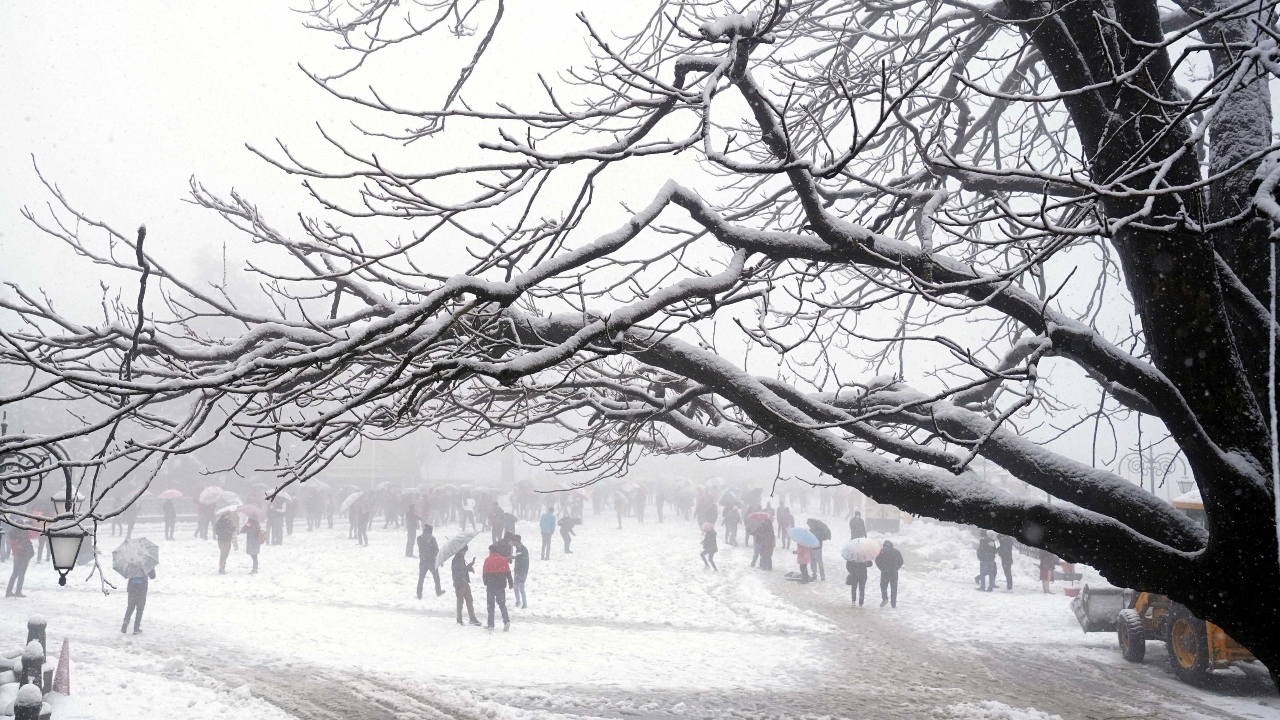 The upper parts of Shimla city, including Jakhoo, The Ridge, Benmore and Sanjauli continue to experience light snowfall. Credit: PTI Photo