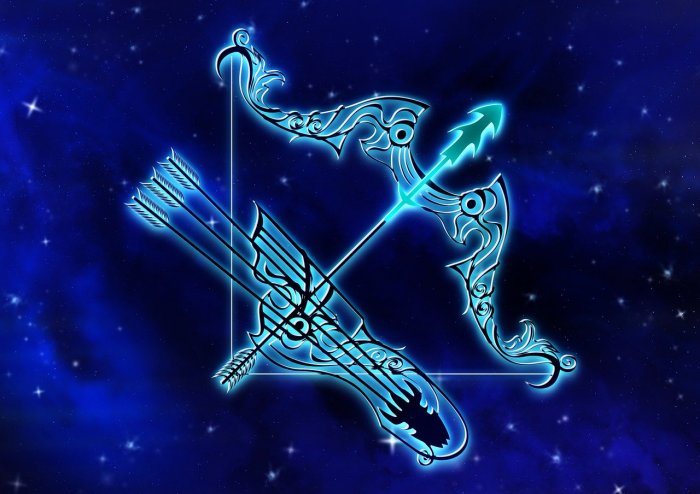 Sagittarius | Do not underestimate the power of emotions. Let your heart and not your head rule the day. It is better to let things take their own course instead of forcing issues.  | Lucky Colour: Purple |  Lucky Number: 9 | Credit: Pixabay
