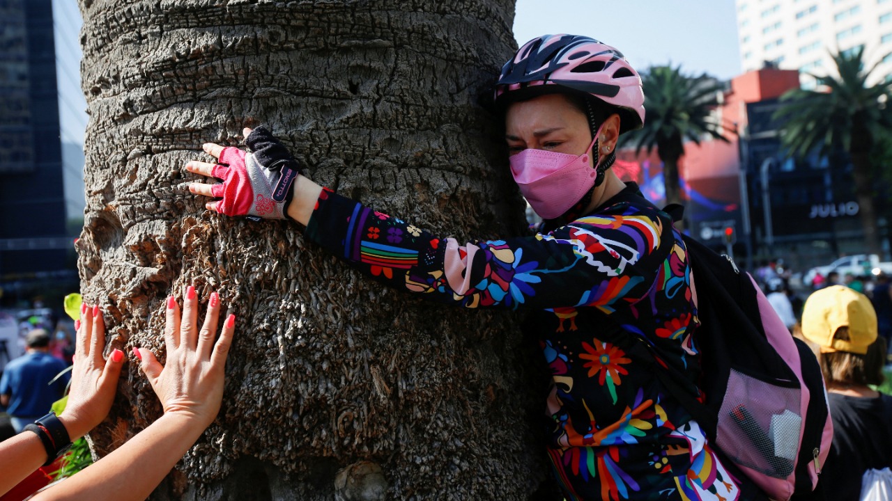 People hug a palm tree known as La Palma, located in the iconic Reforma avenue, during a goodbye ceremony in Mexico City, Mexico. Credit: Reuters Photo