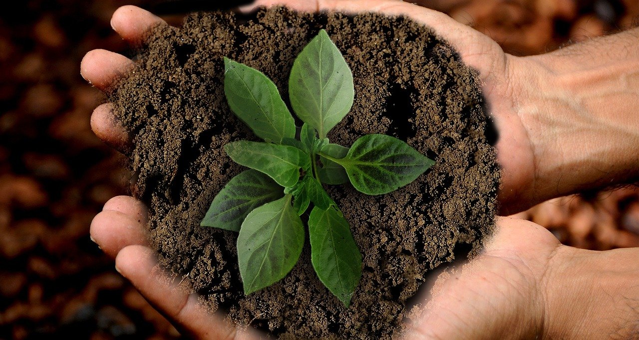 Six 'mompreneurs' who chose sustainability