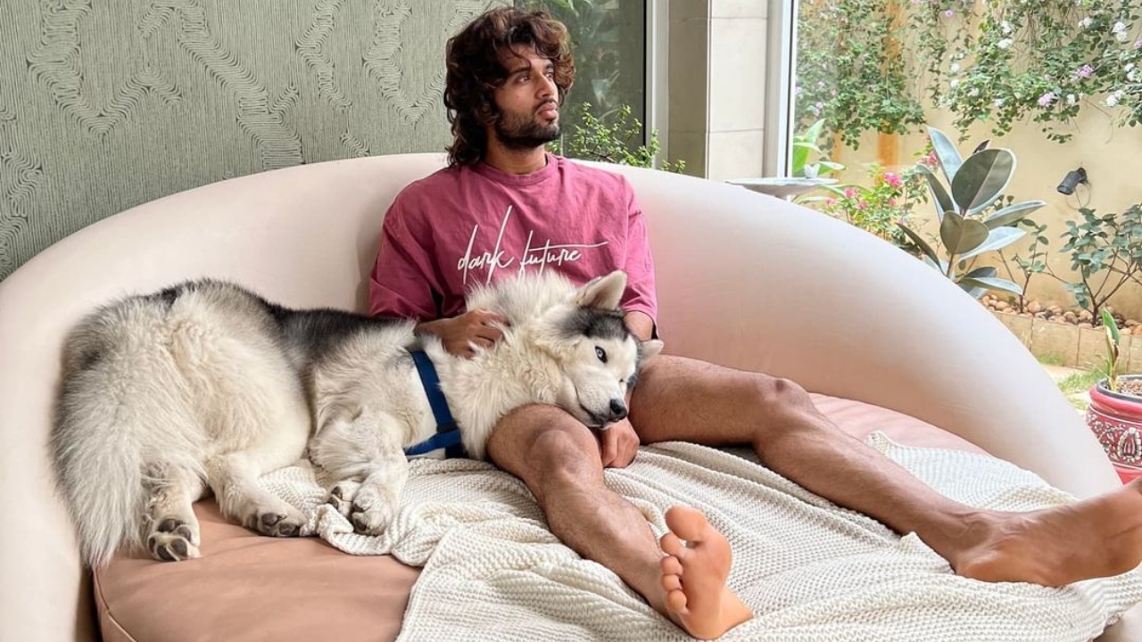 Superseding Allu Arjun and Mahesh Babu, Vijay Deverakonda became the first Telugu actor to surpass the magical mark of 5 million followers on Instagram. Credit: Instagram/thedeverakonda