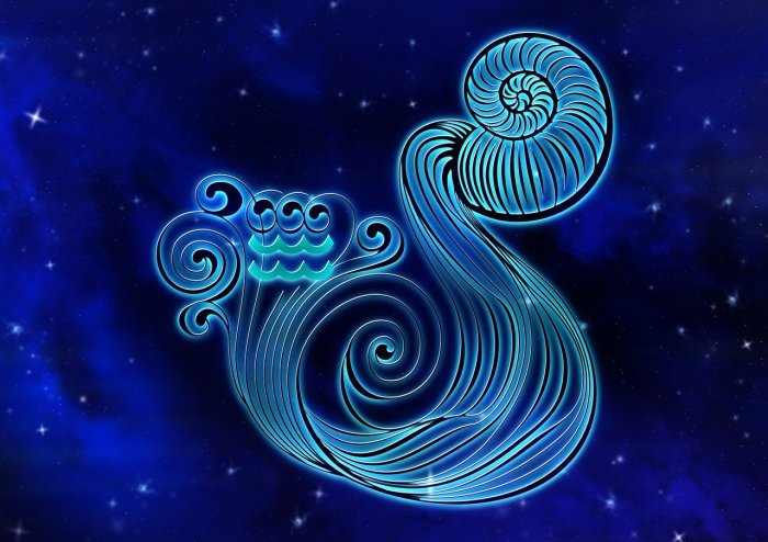 Aquarius |  You have the gift of the gab and you have the ability to motivate others.  You could have quite a fan following due to your prowess with words.  You are easy-going by nature but don't let anyone take you for granted today.  | Lucky Colour: Mustard | Lucky Number: 2 | Credit: Pixabay