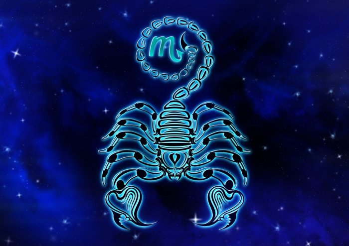 Scorpio | This is not the day to be extravagant. Or make big donations – just see to your own needs first, before you turn philanthropic. Not everyone will be pleased with your plans.  Investments plans bear fruit in a while.  | Lucky Colour: Pink | Lucky Number: 9 | Credit: Pixabay