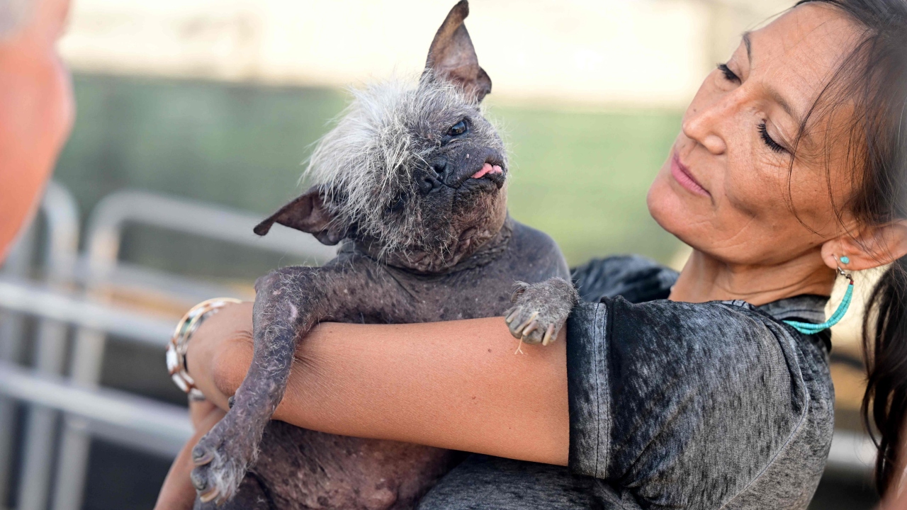 Vets said that with his poor health the dog might only live for a few weeks.
