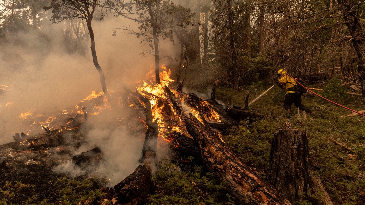 A firefighter works to extinguish the Oak Fire as it burns near Darrah in Mariposa County, California. Credit: Reuters photo