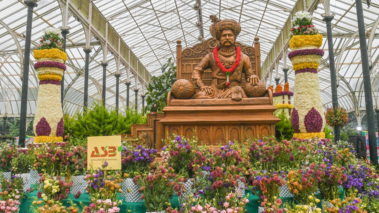 Lalbagh mornings