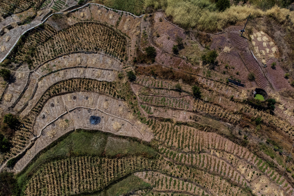 An aerial view of parched terrace fields in Fuyuan village, as the region is experiencing a drought, in Chongqing China. Credit: Reuters Photo