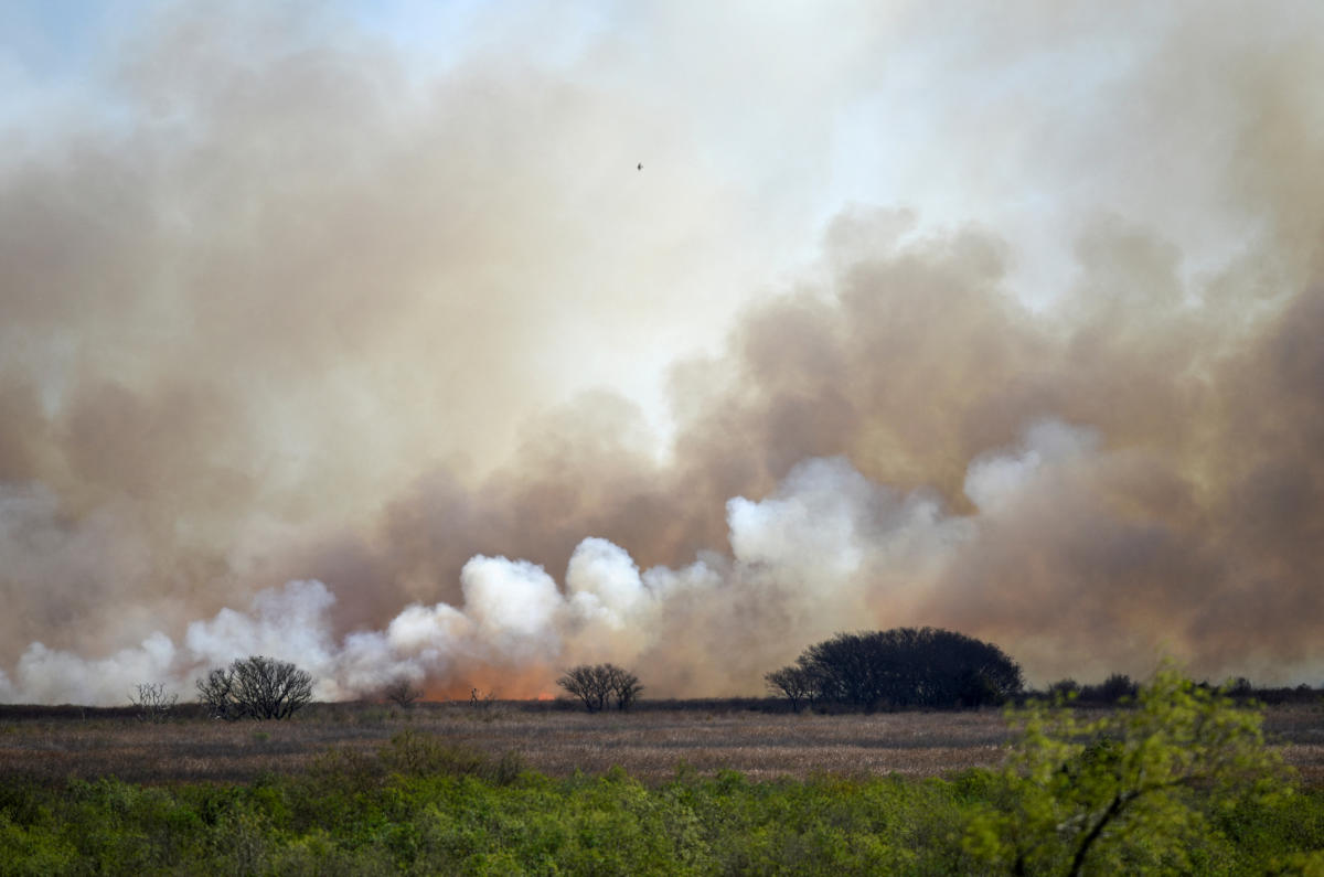 Smoke rises from the fire that continues to consume trees and pastures in a wetland near the city of Victoria, Entre Rios, Argentina. Credit: Reuters Photo