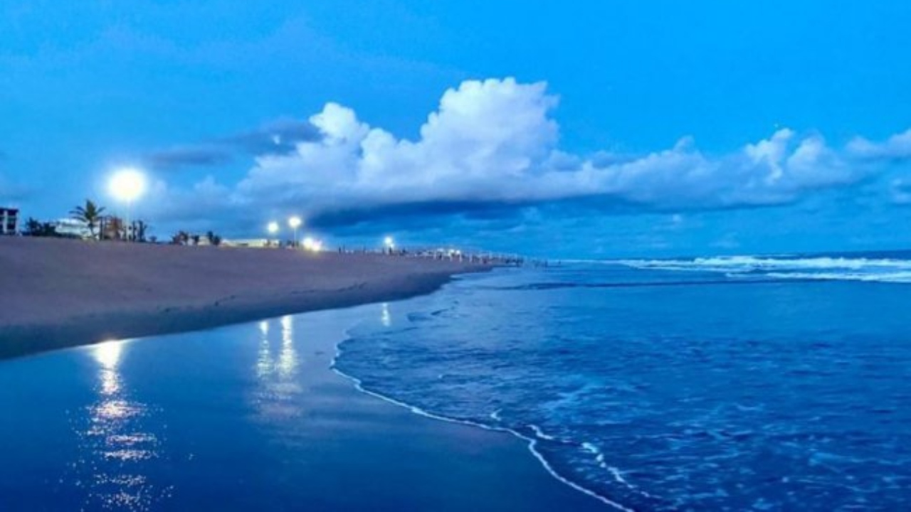 Radhanagar Beach: Located in Andaman and Nicobar Islands' Swaraj Deep island, Radhanagar beach is known for its pristine stretch of sand backed by turquoise water and lush forest. Credit: PBNS