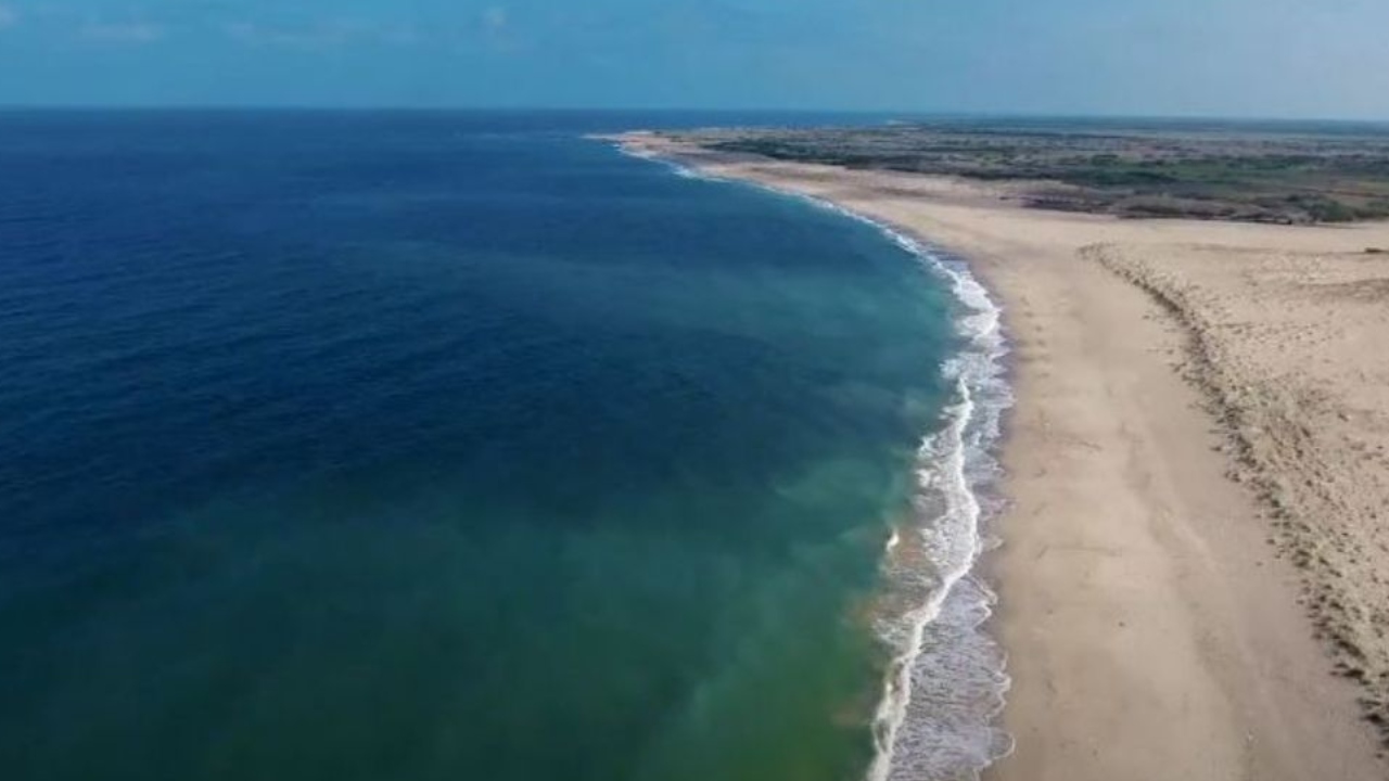 Shivrajpur Beach: Known for its clear water and white sand, Gujarat's Shivrajpur beach is one of the beaches which have received the ‘coveted’ Blue Flag certification. Credit: PBNS