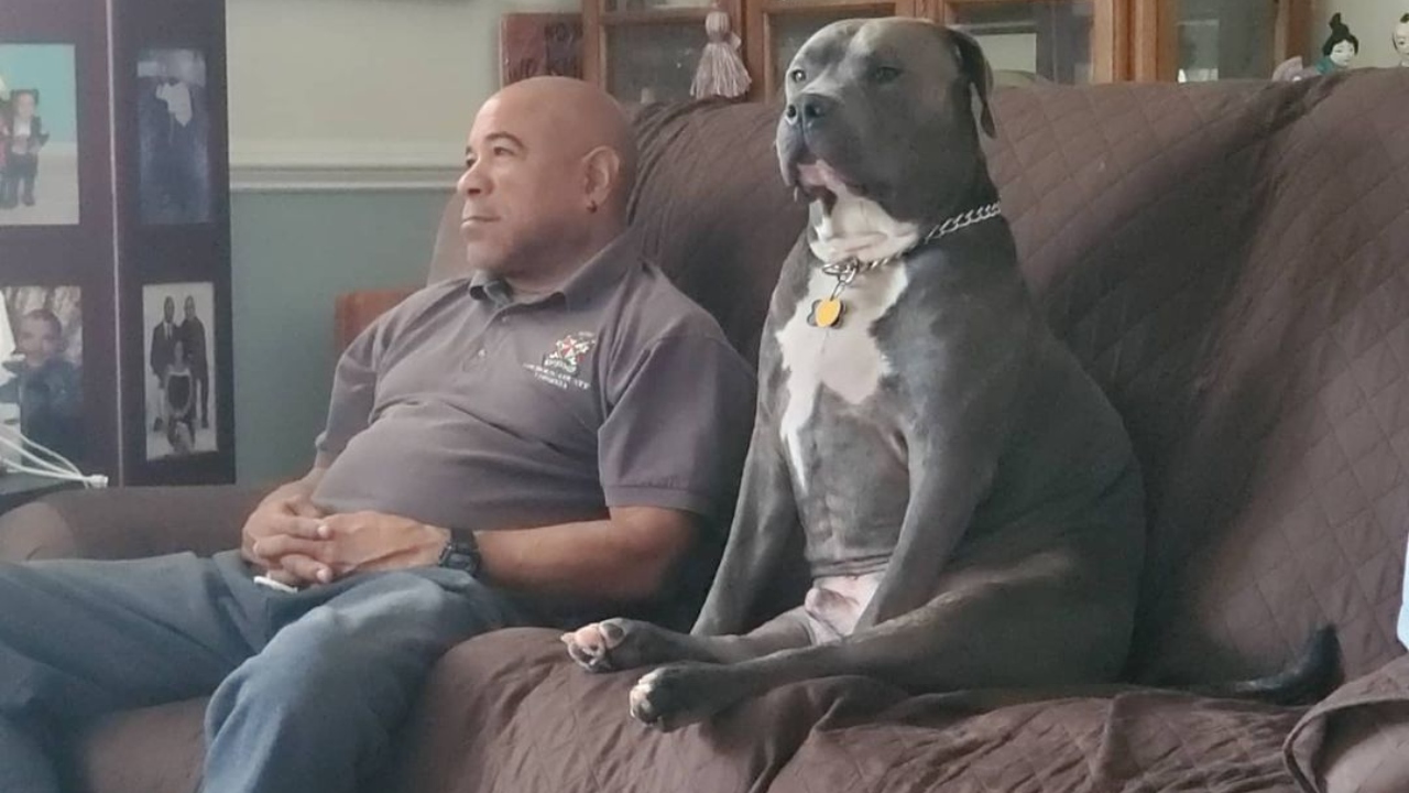 Like owner, like dog. Credit: Instagram/@kiana_nicole99