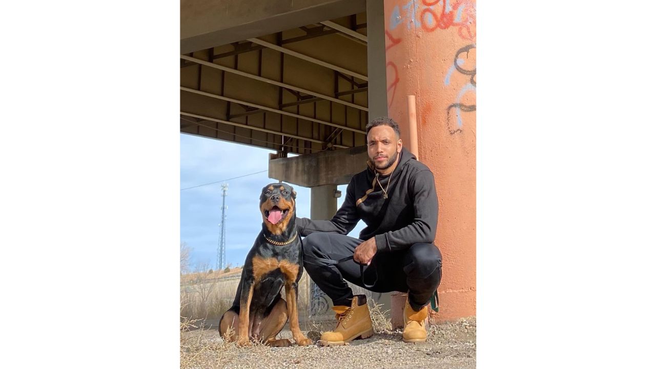 There are few breeds who often resemble their owners. Credit: Twitter/@BrowningIsland