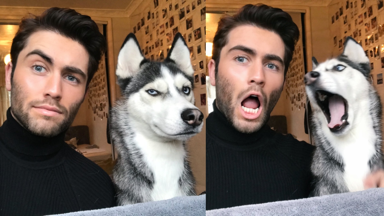 Dogs are known to be man's best friend. In this photo, owner and pet are seen acing perfect poses. Credit: Twitter/@li4miom