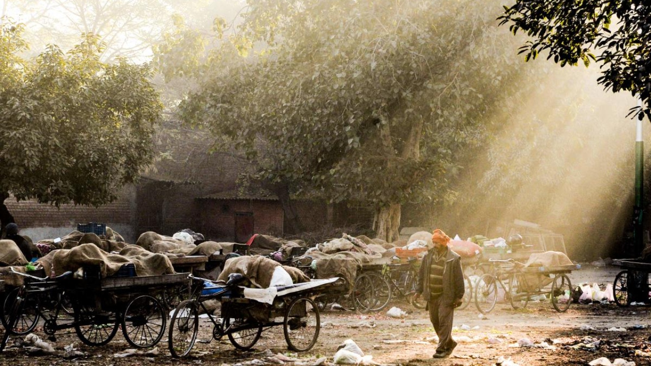 A man walks past cycle carts and hand carts containing sacks of vegetables at a wholesale market in Jalandhar. Credit: AFP Photo